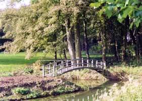 Completed Bridge White