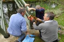 adding batten clamps to bridge posts